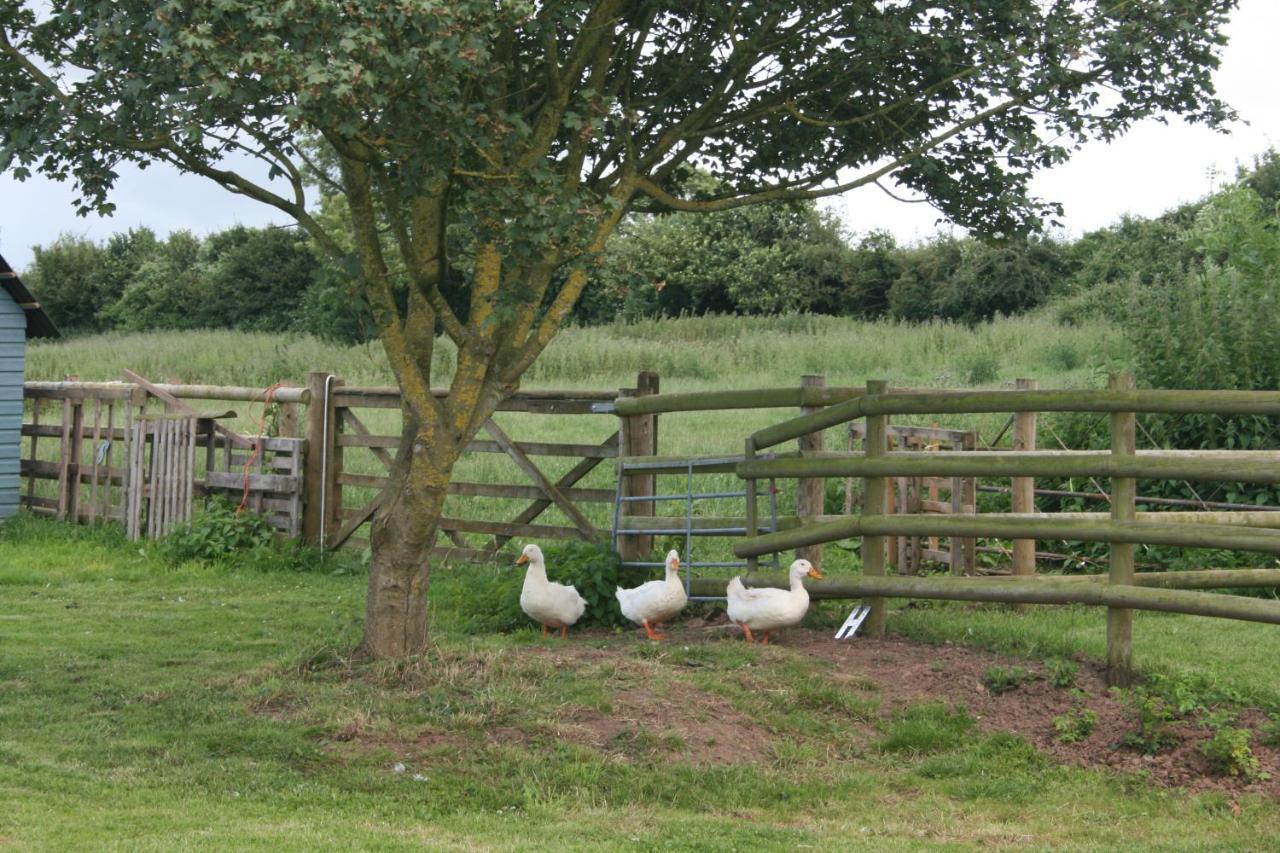 Greenway Farm Acomodação com café da manhã Bridgwater Exterior foto